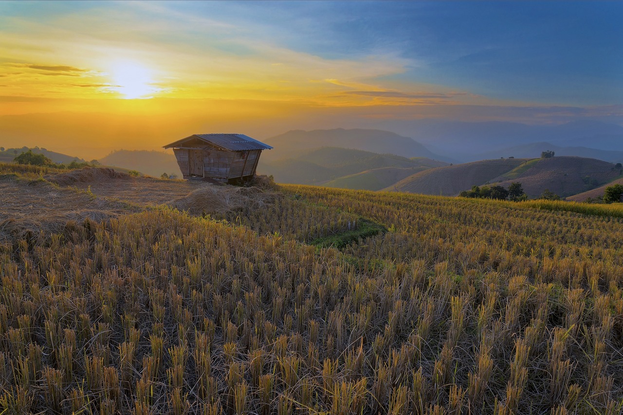 Chiang Mai